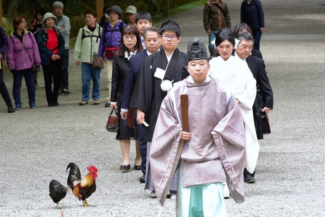 石上神宮の結婚式の写真