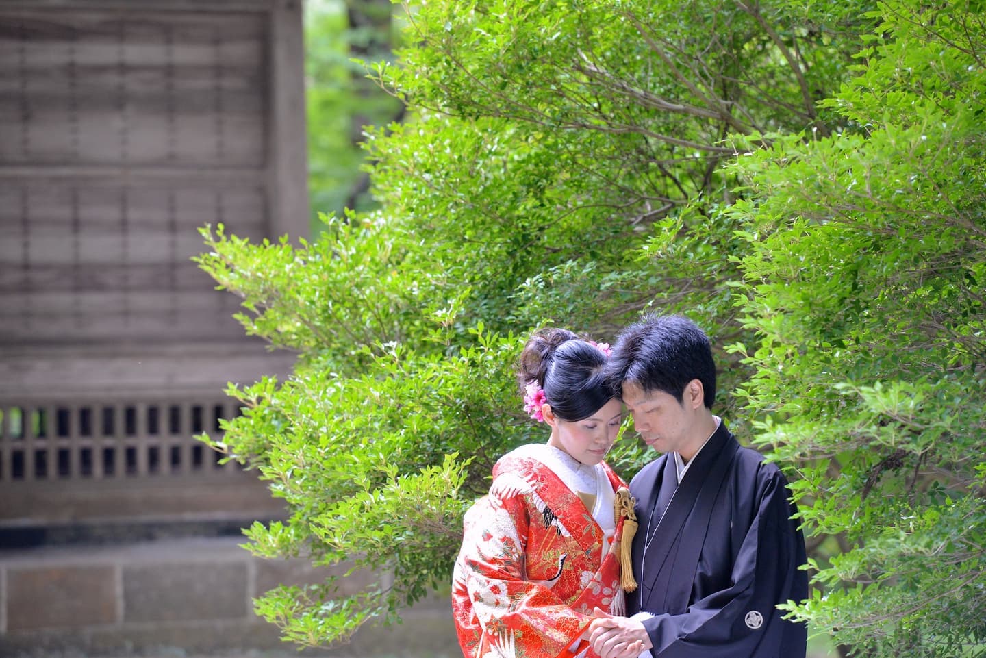 青海神社で結婚式の花嫁