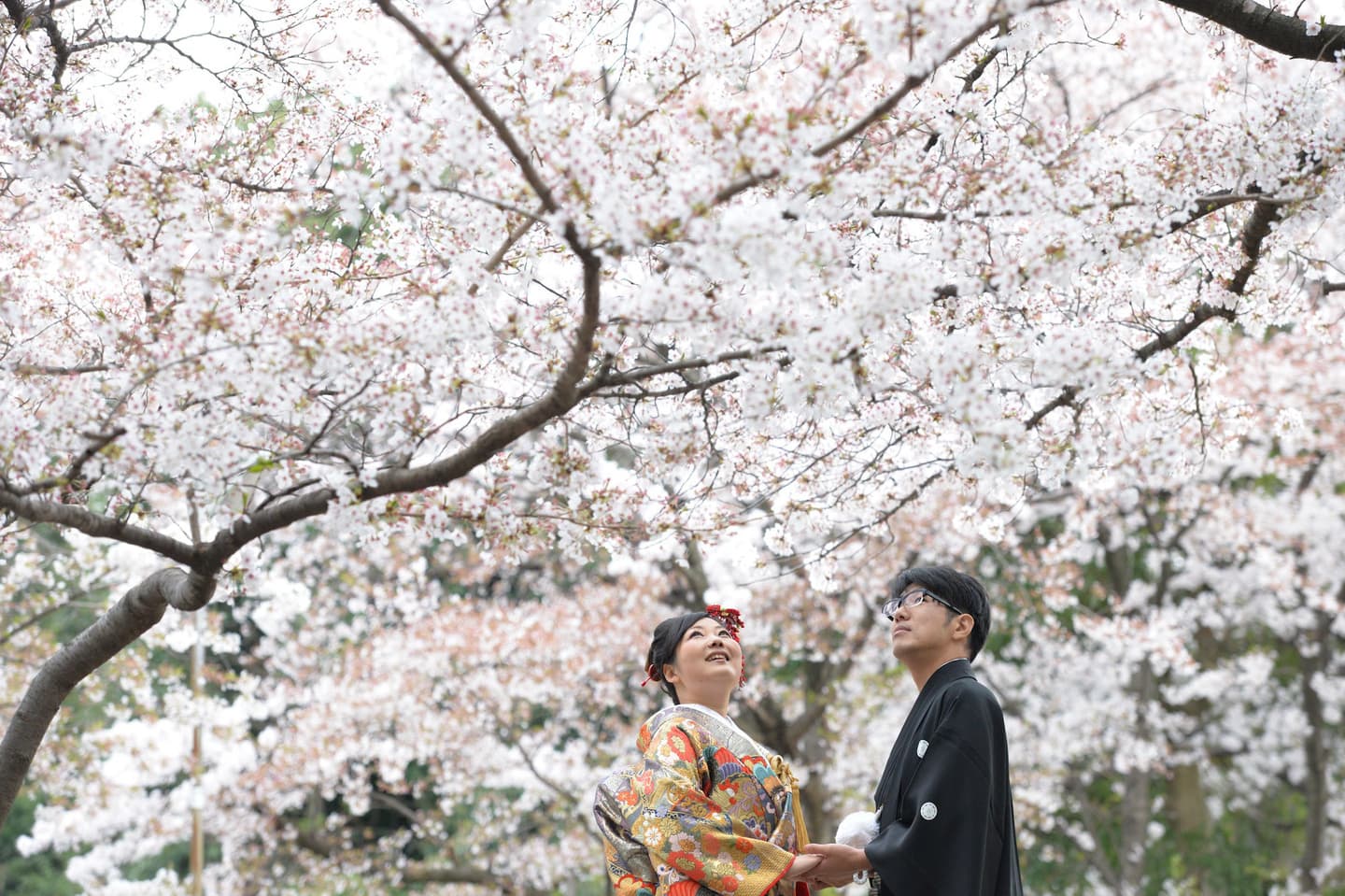 春日神社で結婚式の新郎と綿帽子の花嫁