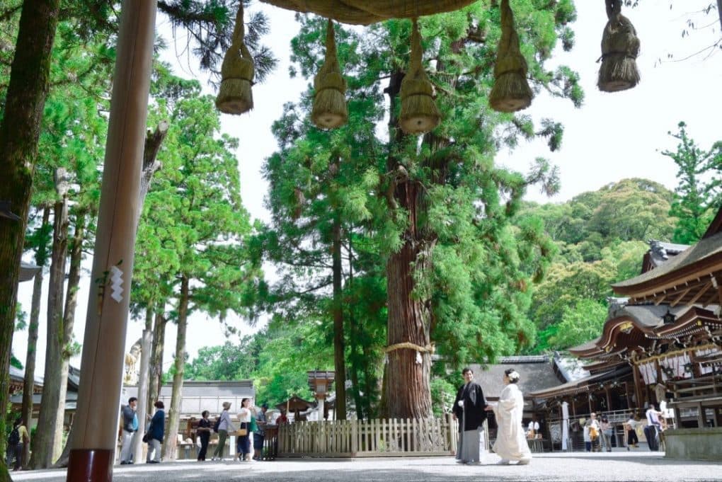 大神神社で白無垢で結婚式の花嫁