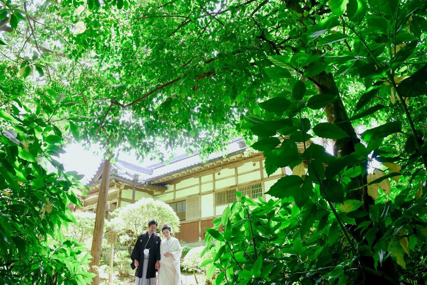 大神神社での着物結婚式写真