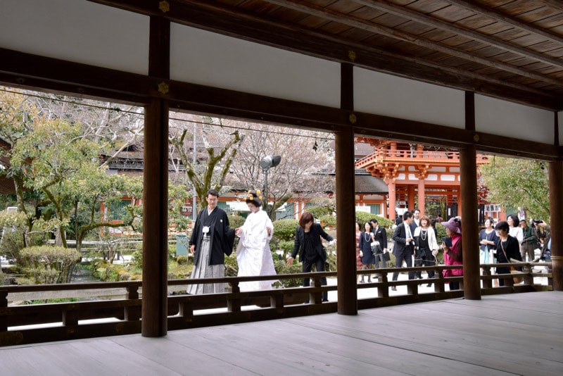 京都の上賀茂神社での神前結婚式の写真