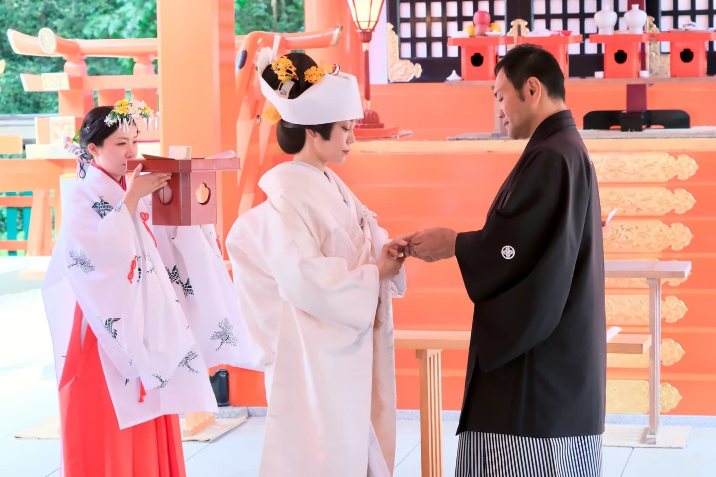 かつらで角隠しをした結婚式の写真