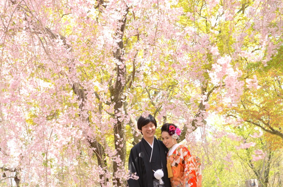 桜の京都で和装前撮りロケーションフォトの写真