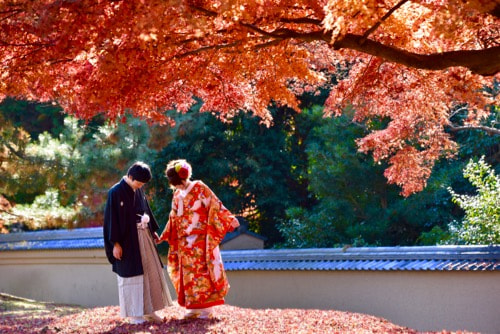 京都の前撮りの新郎新婦の写真