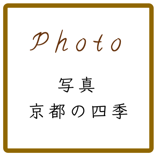 奈良前撮りフォトウェディングのプラン