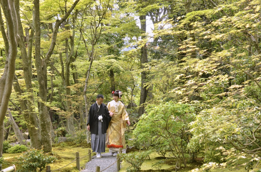 新緑の京都で和装前撮りロケーションフォトの写真
