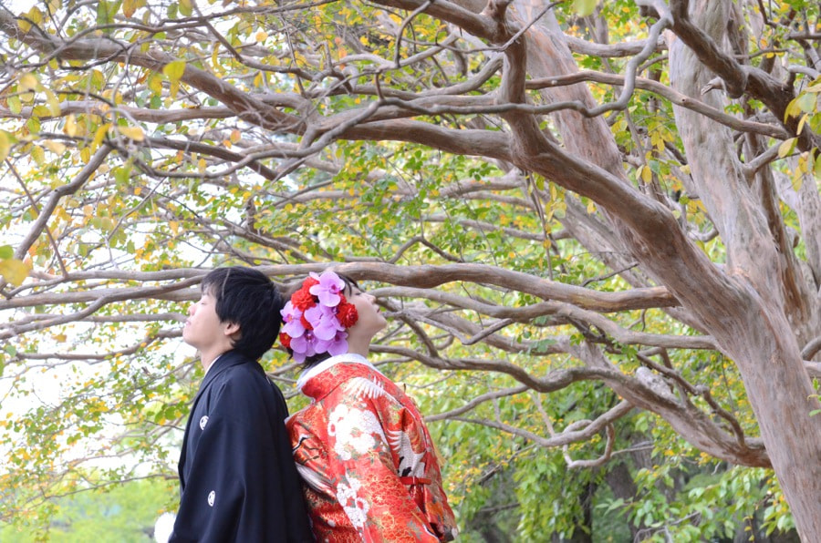 京都御苑で和装で洋髪髪型ヘアスタイルの写真