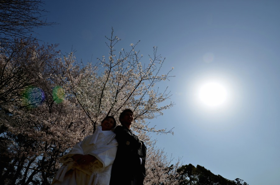 桜の京都で和装前撮りロケーションフォトの写真