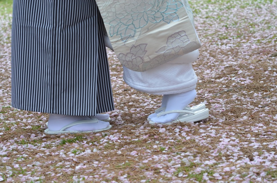 桜の京都で和装前撮りロケーションフォトの写真