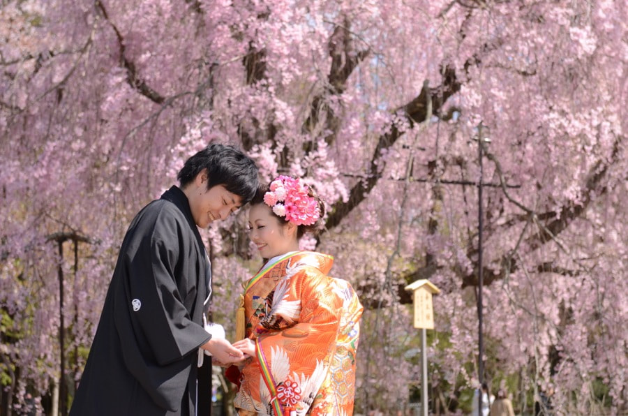 桜の京都で和装前撮りロケーションフォトの写真