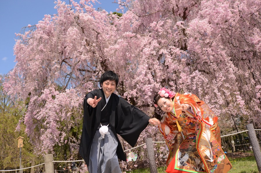 桜の京都で和装前撮りロケーションフォトの写真