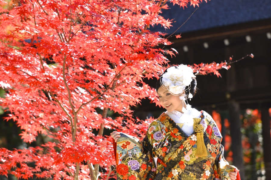 紅葉の京都で和装前撮りロケーションフォトの写真