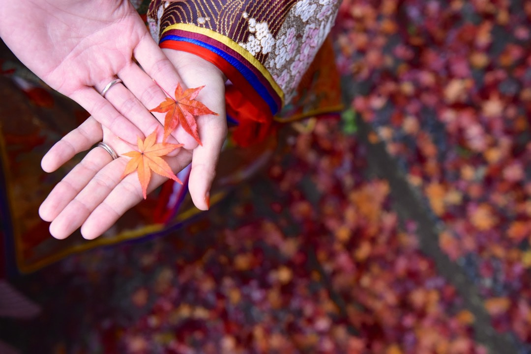 紅葉の京都で和装前撮りロケーションフォトの写真