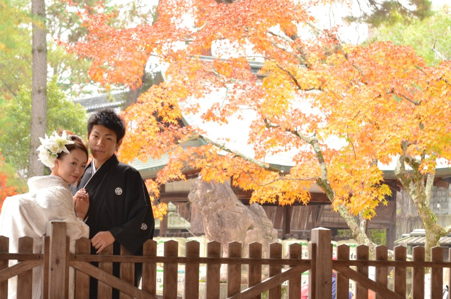 紅葉の京都で和装前撮りロケーションフォトの写真