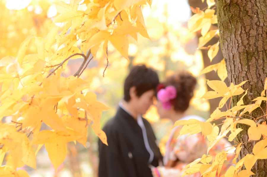 紅葉の京都で和装前撮りロケーションフォトの写真