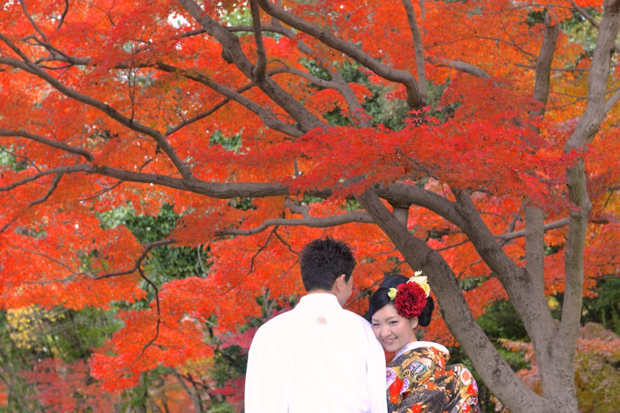 紅葉の京都で和装前撮りロケーションフォトの写真