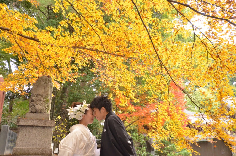 紅葉の京都で和装前撮りロケーションフォトの写真