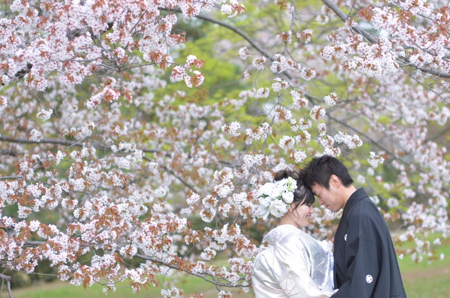 桜の京都で和装前撮りロケーションフォトの写真