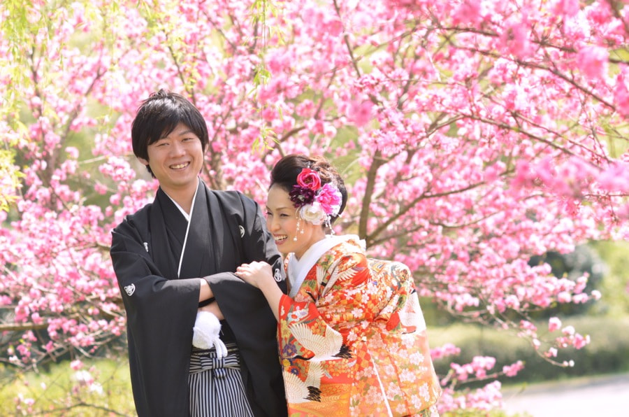 桜の京都で和装前撮りロケーションフォトの写真
