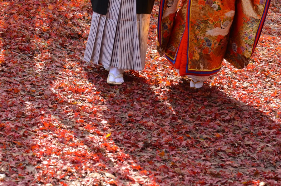 紅葉の京都で和装前撮りロケーションフォトの写真