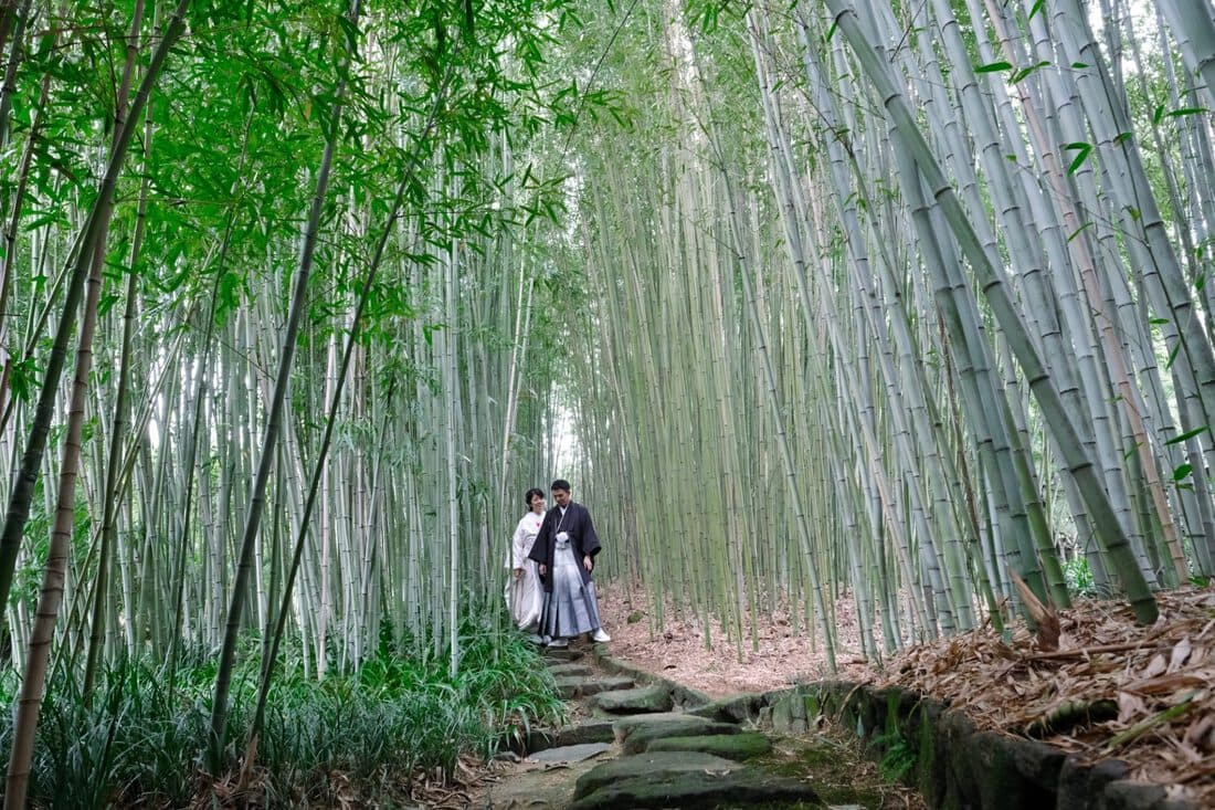 京都の竹林で和装前撮り