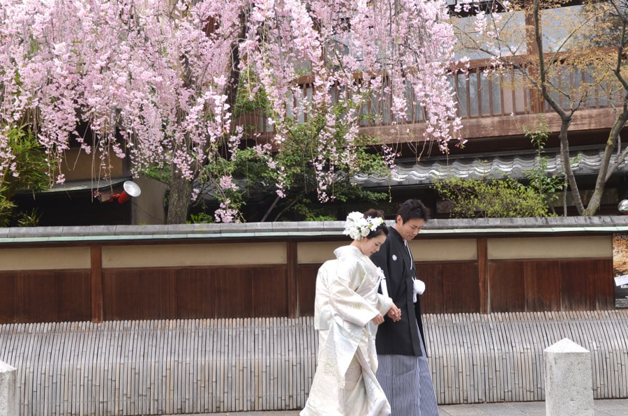 京都嵯峨野竹林と京都祇園で和装前撮り写真
