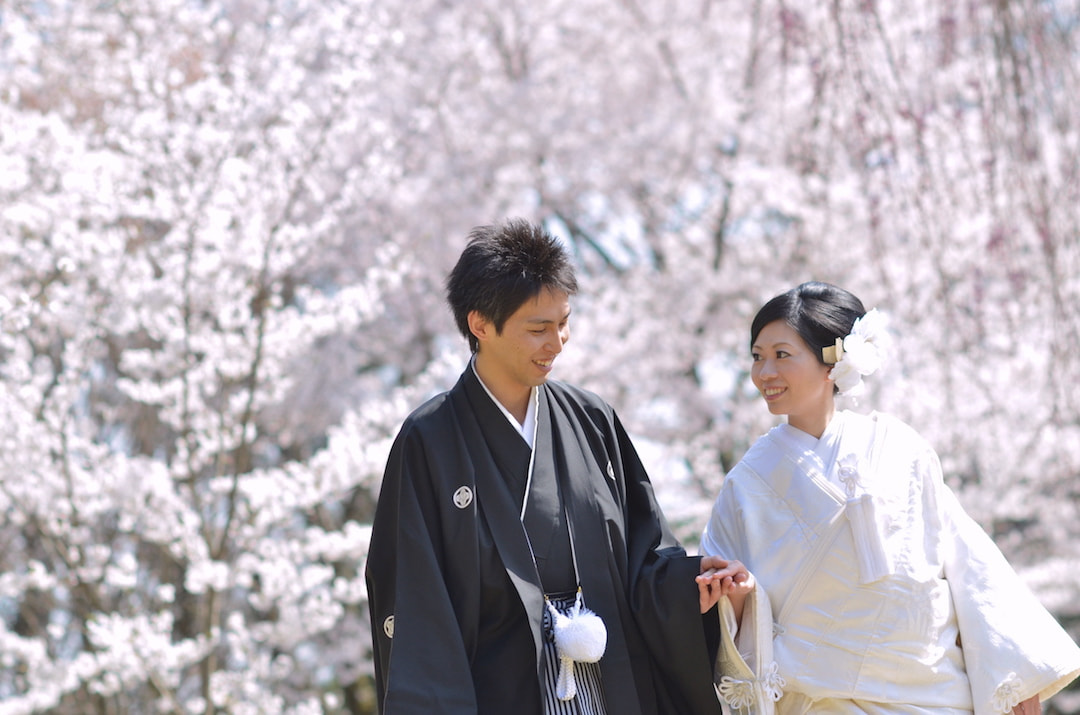 桜の京都で和装前撮りロケーションフォトの写真