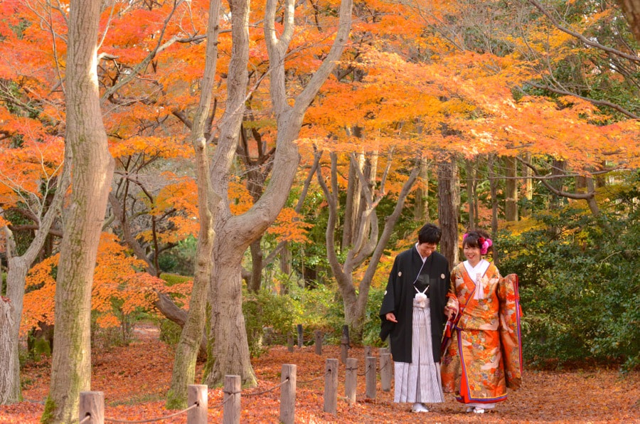 紅葉の京都で和装前撮りロケーションフォトの写真