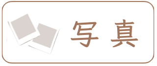 フォトウェディング奈良プランの写真