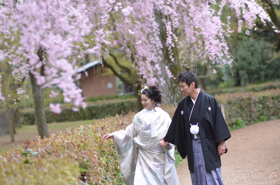 桜の京都で和装前撮りロケーションフォトの写真