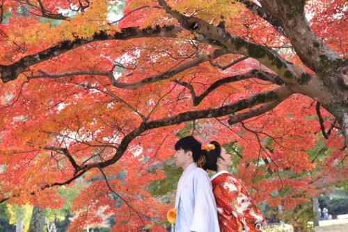 京都の前撮りの新郎新婦の写真