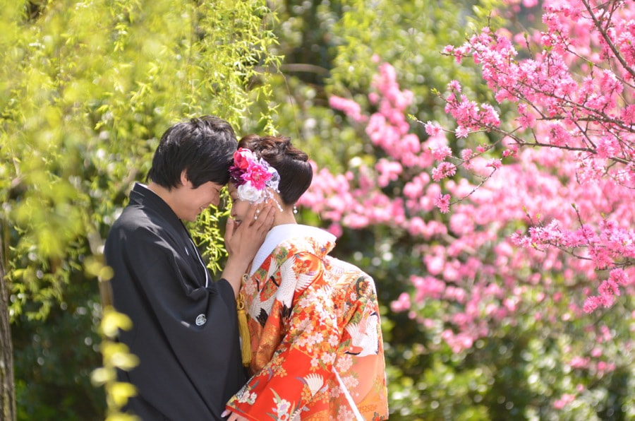 桜の京都で和装前撮りロケーションフォトの写真