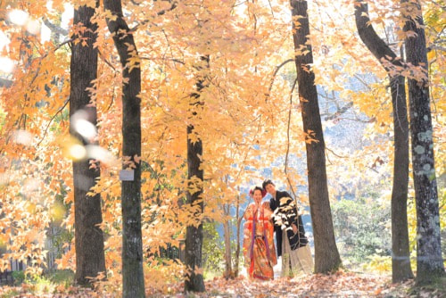 京都の前撮りの新郎新婦の写真
