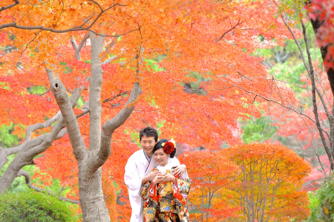 紅葉の京都で和装前撮りロケーションフォトの写真