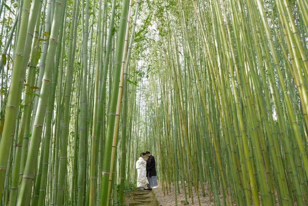 京都の竹林で和装前撮り