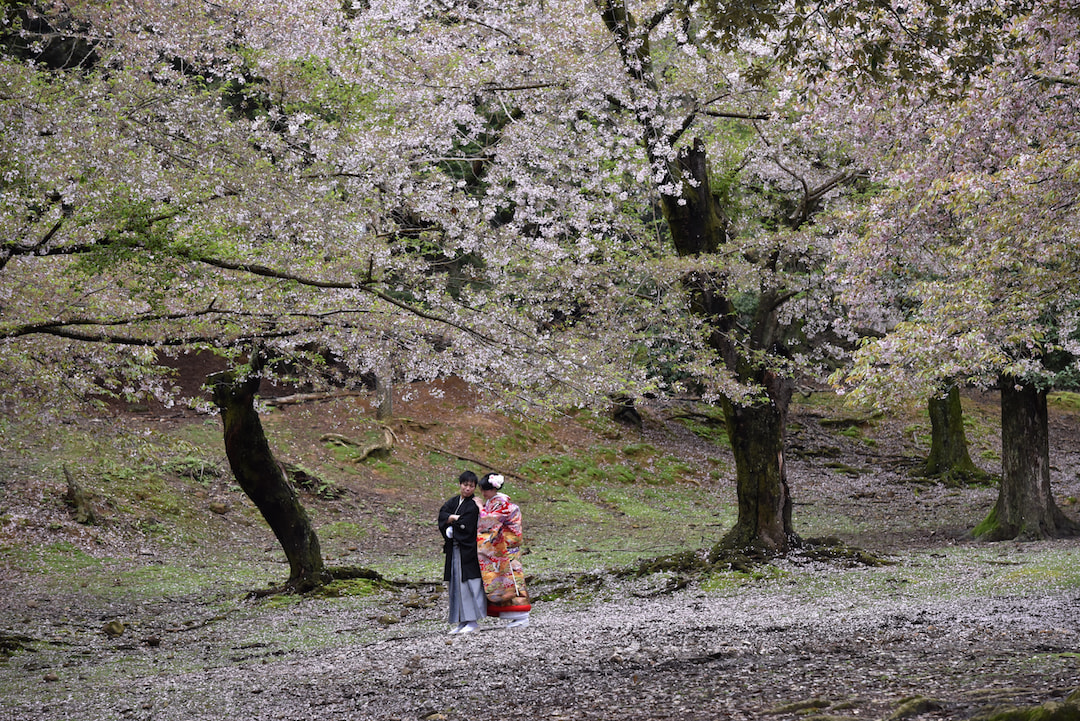 京都の前撮りの新郎新婦の写真