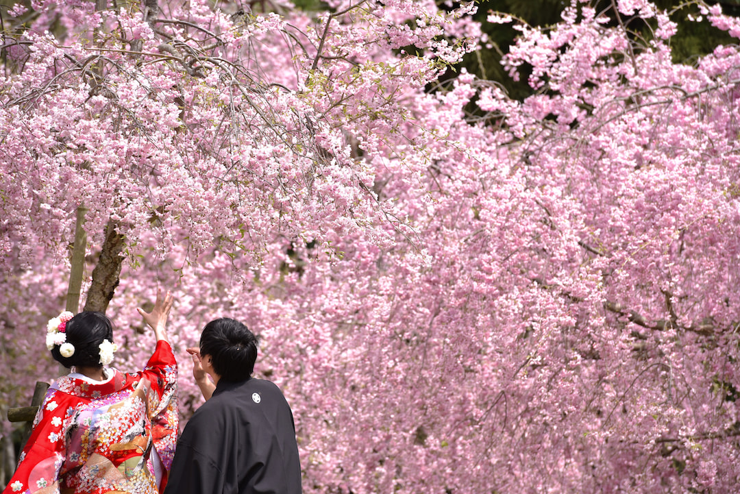 京都の前撮りの新郎新婦の写真