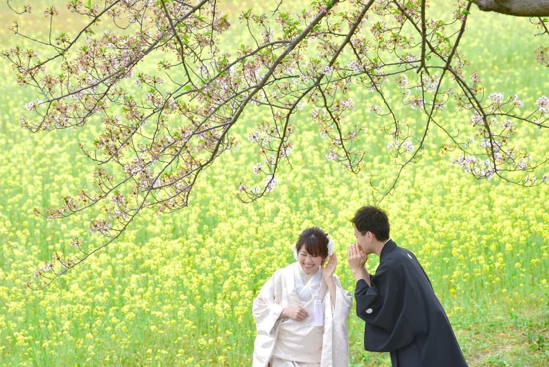 コスモスや菜の花、ひまわりが一杯の前撮りの新郎新婦の写真