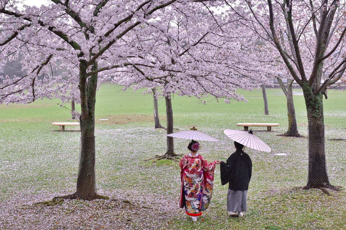 雨のフォトウエディング