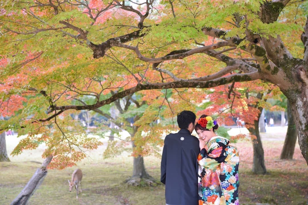 奈良の紅葉で和装前撮りフォトウエディングの写真