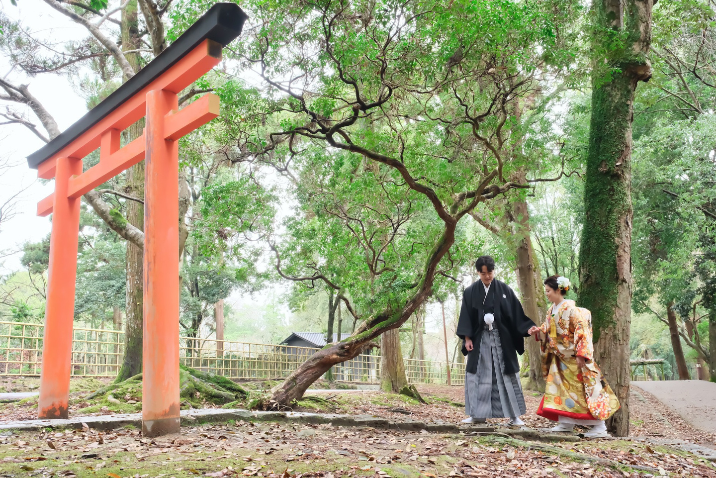 奈良で和装前撮りフォトウェディングの写真