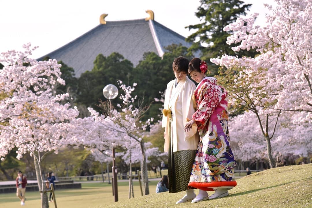 奈良の桜で和装前撮りフォトウェディングの写真