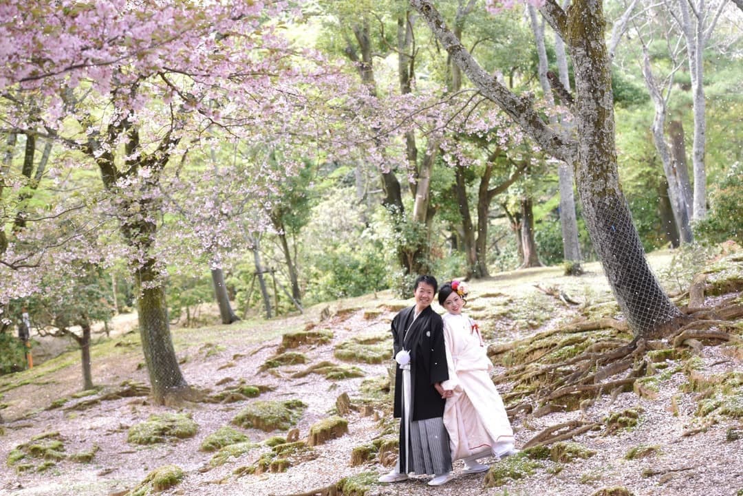 奈良の桜で和装前撮りフォトウェディングの写真