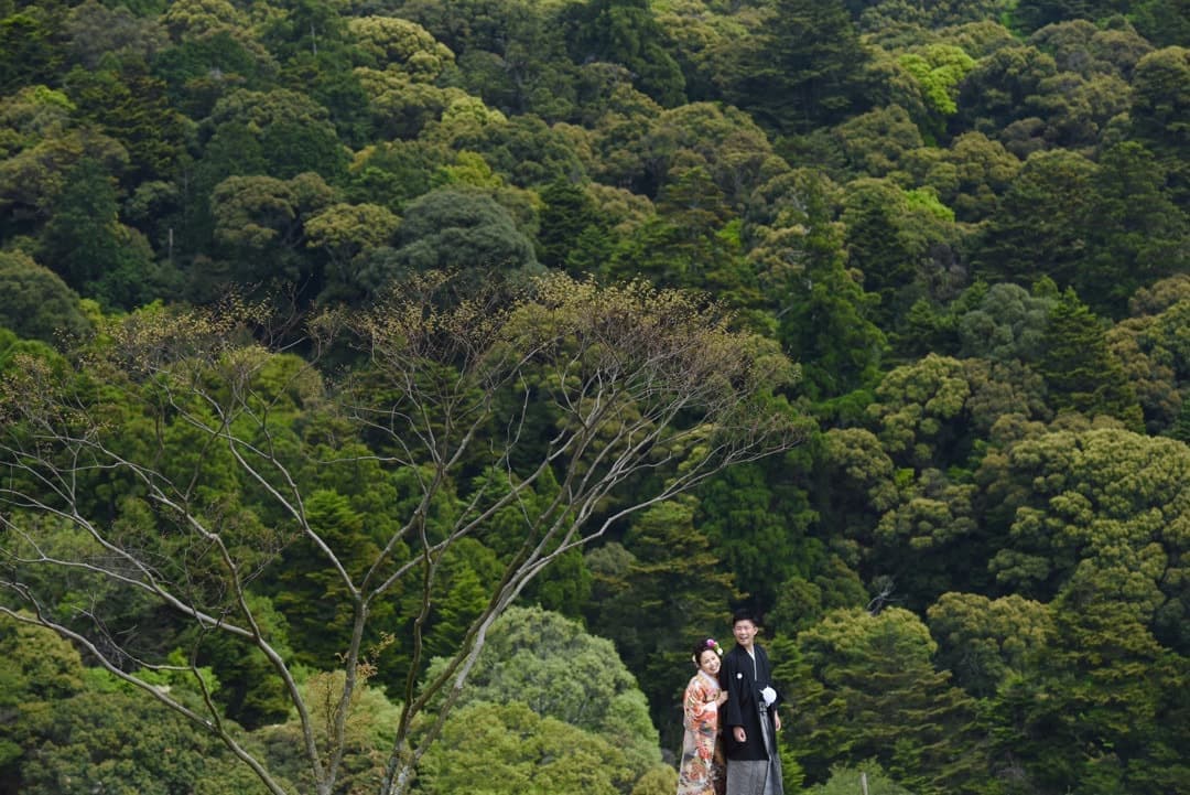 奈良公園の若草山で前撮りの新郎新婦の写真