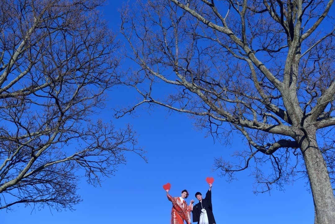 奈良公園の若草山で前撮りの新郎新婦の写真