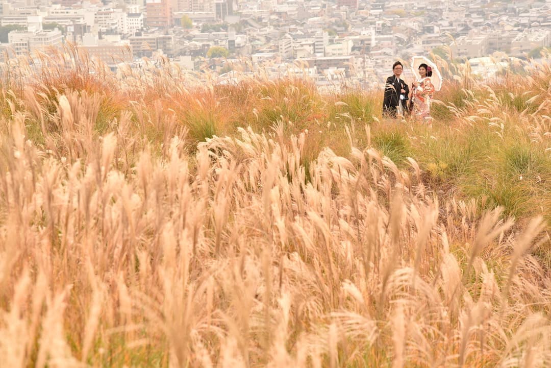 奈良公園の若草山で前撮りの新郎新婦の写真