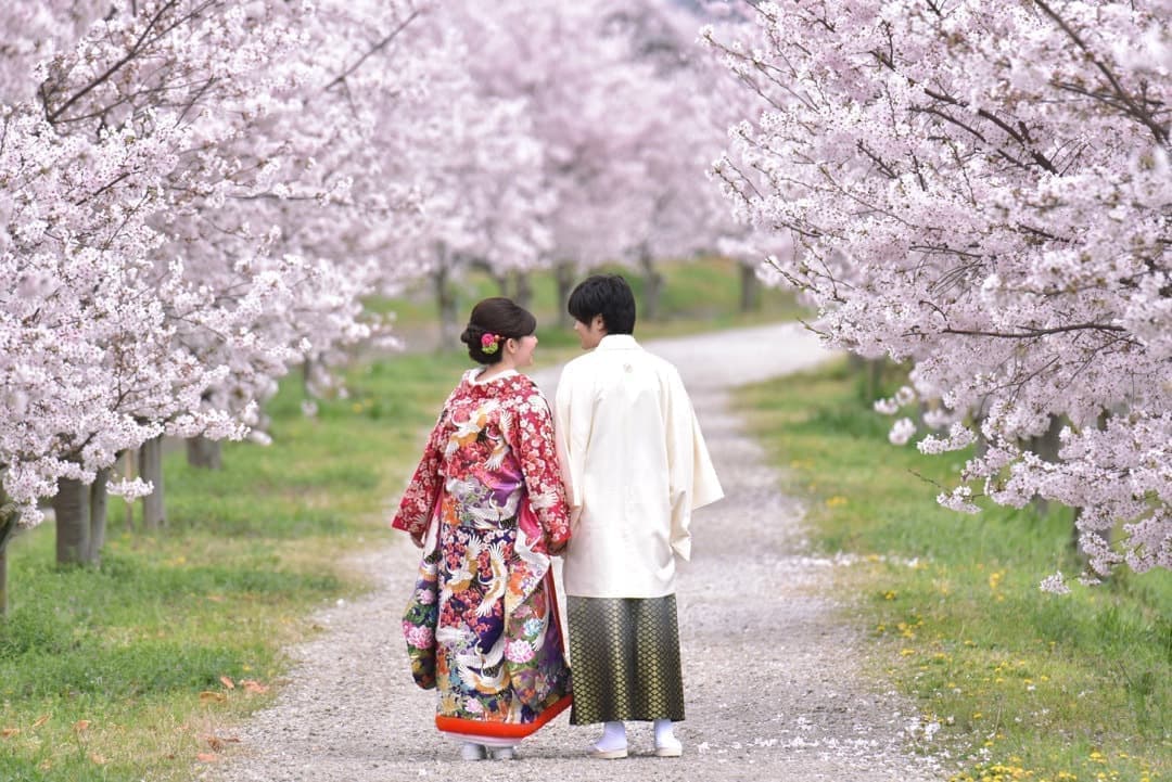 奈良の桜で和装前撮りフォトウェディングの写真