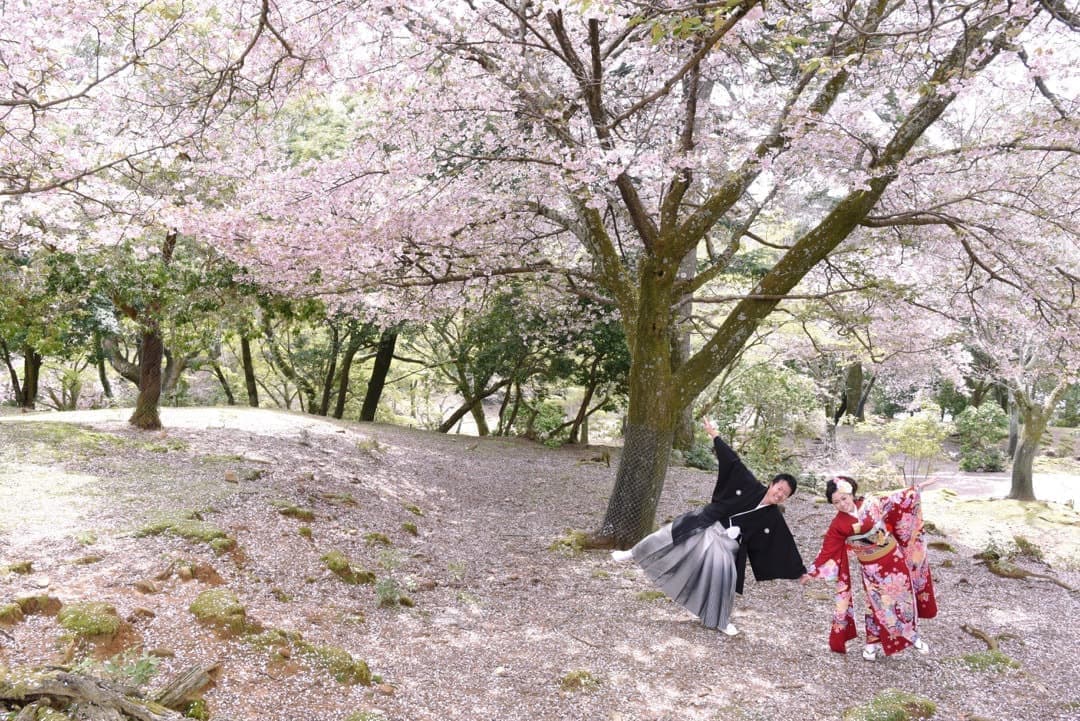 奈良の桜で和装前撮りフォトウェディングの写真