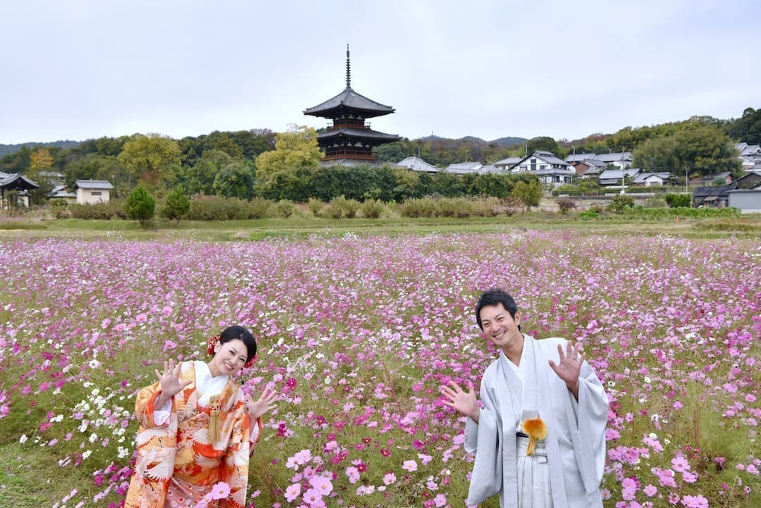 コスモスや菜の花、ひまわりが一杯の前撮りの新郎新婦の写真